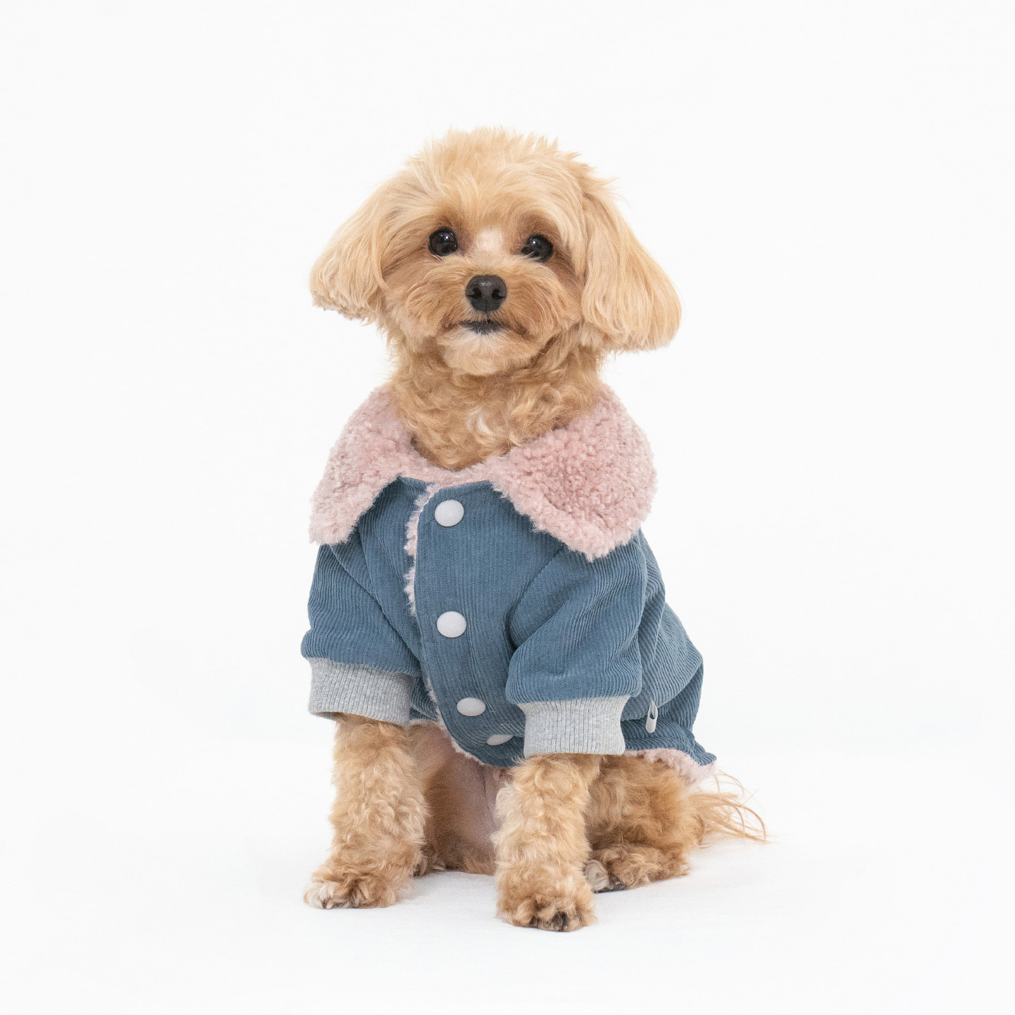 골덴 뽀글이 리버시블 강아지 패딩 핑크